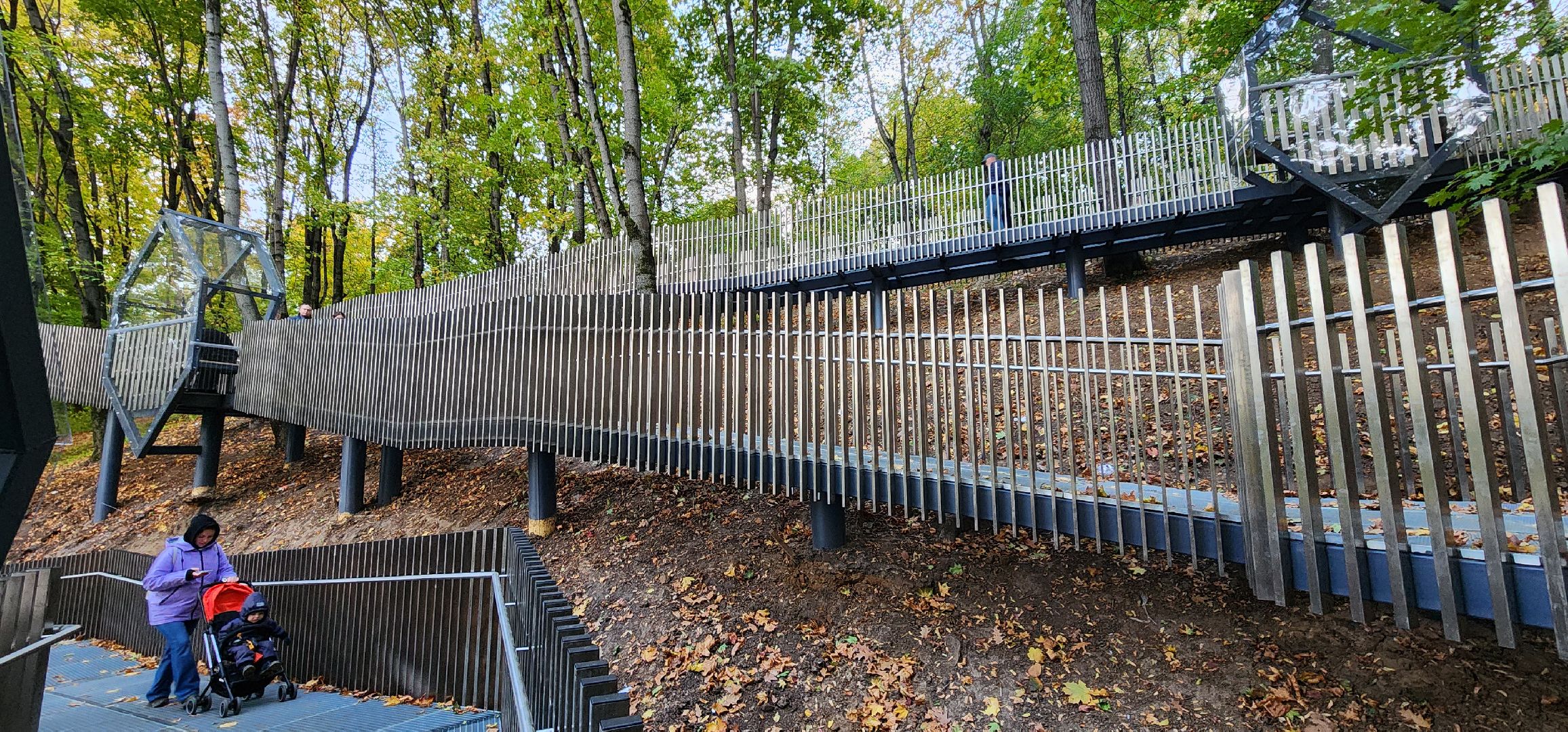 Химки, Благоустройство, парки, экотропа,