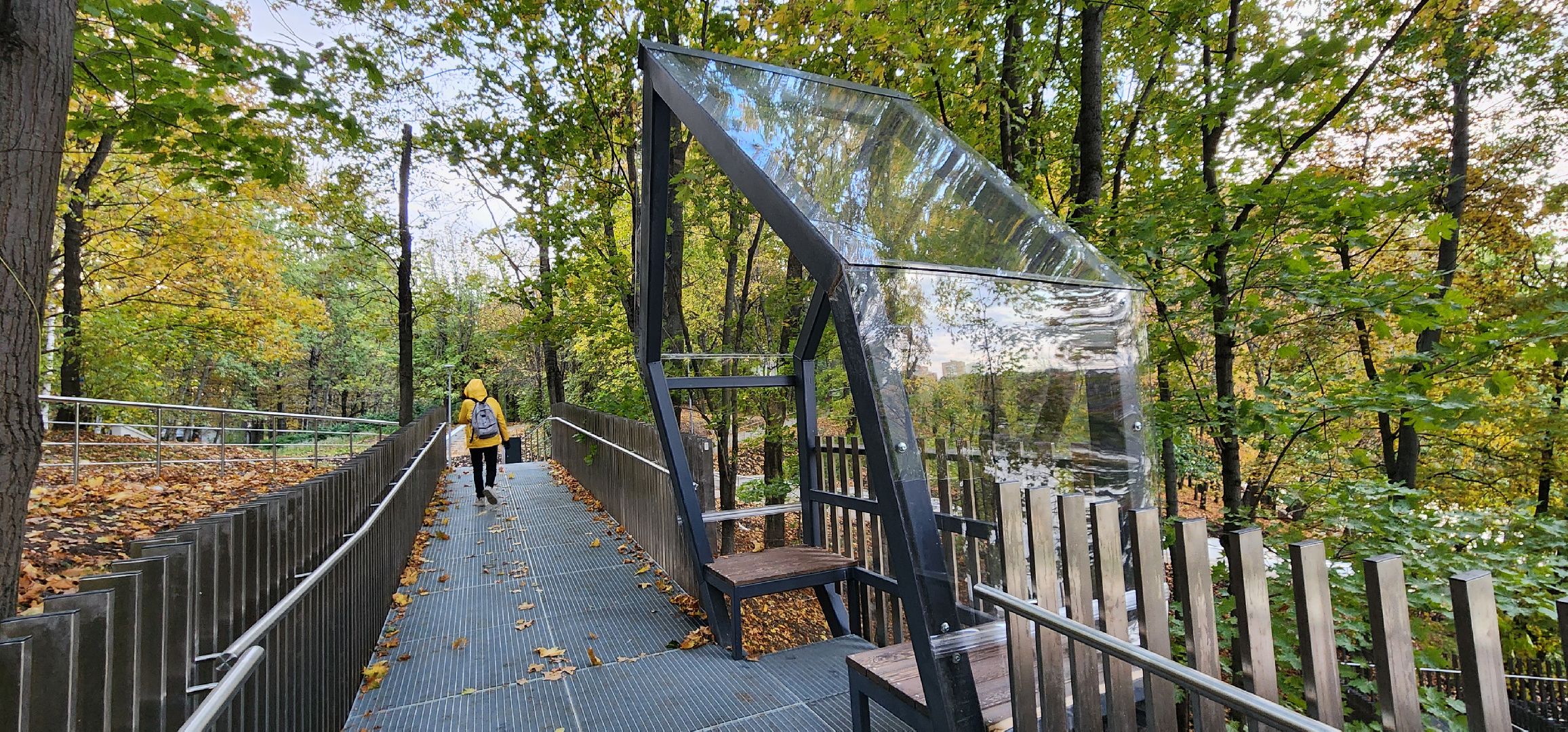 Химки, Благоустройство, парки, экотропа,