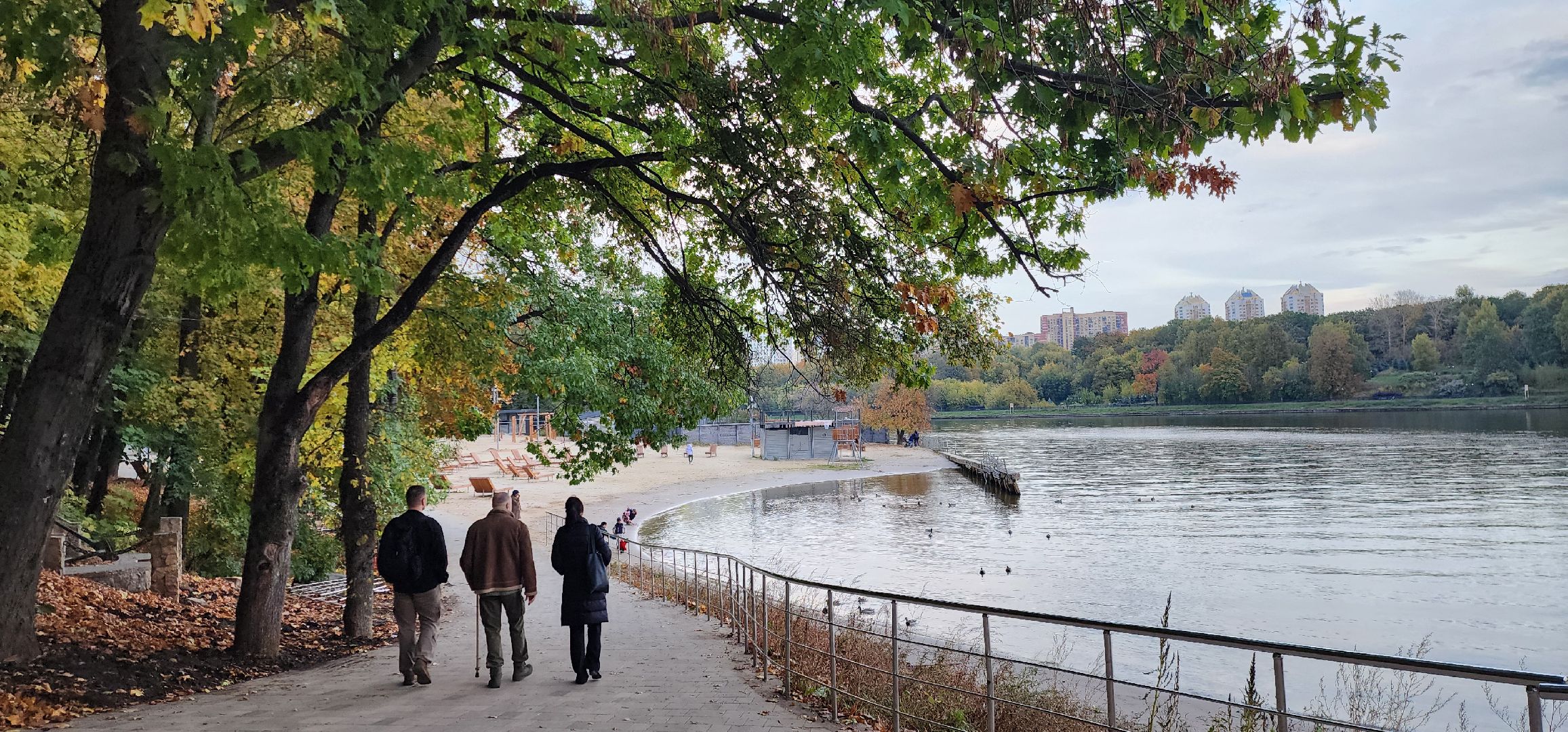 Химки, Благоустройство, парки, экотропа,
