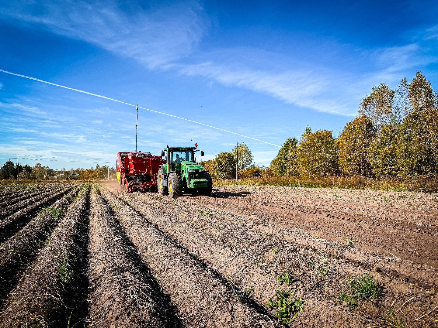клин, экономика, сбор урожая, картофель, сельское хозяйство,