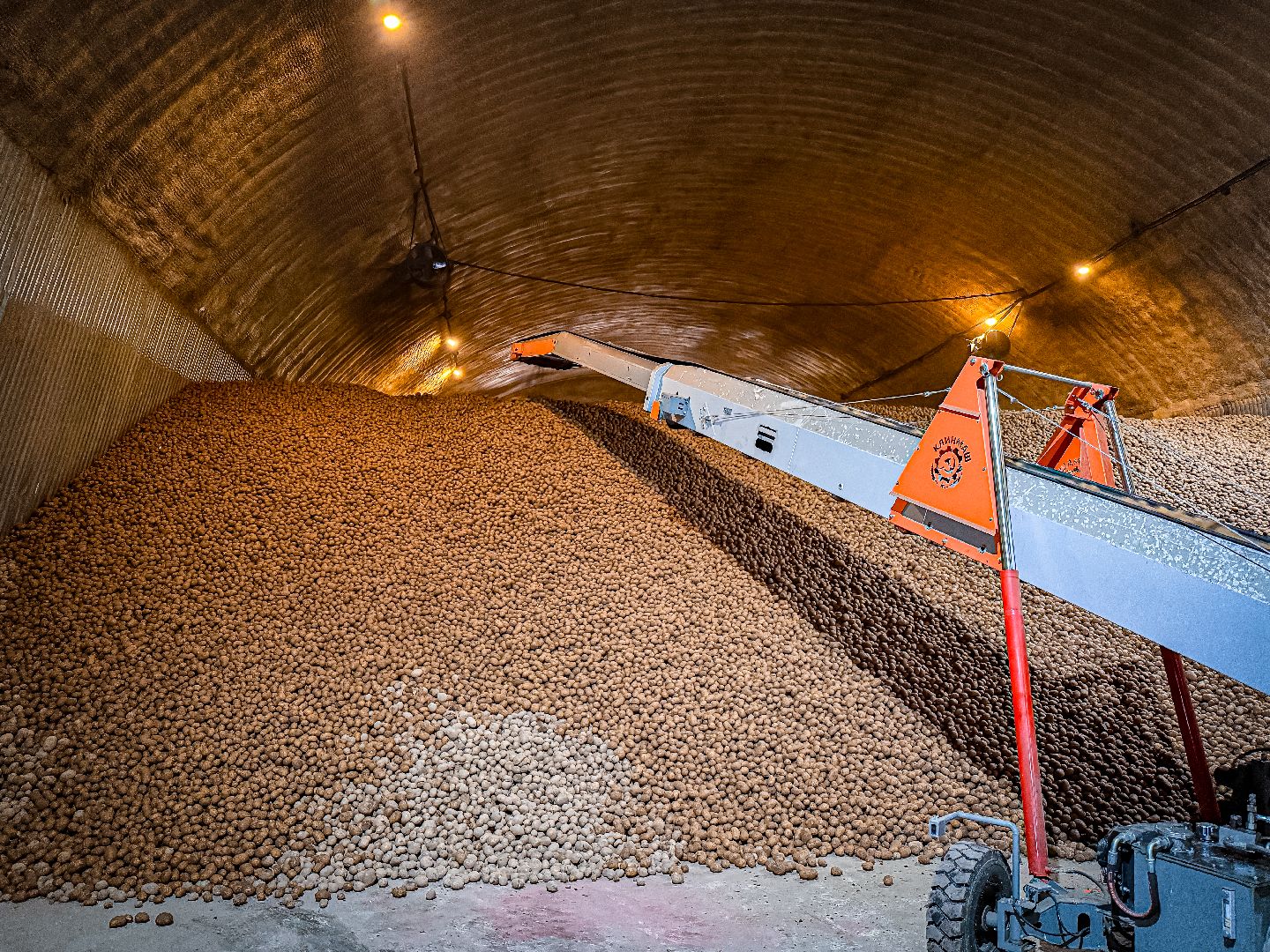 клин, экономика, сбор урожая, картофель, сельское хозяйство,