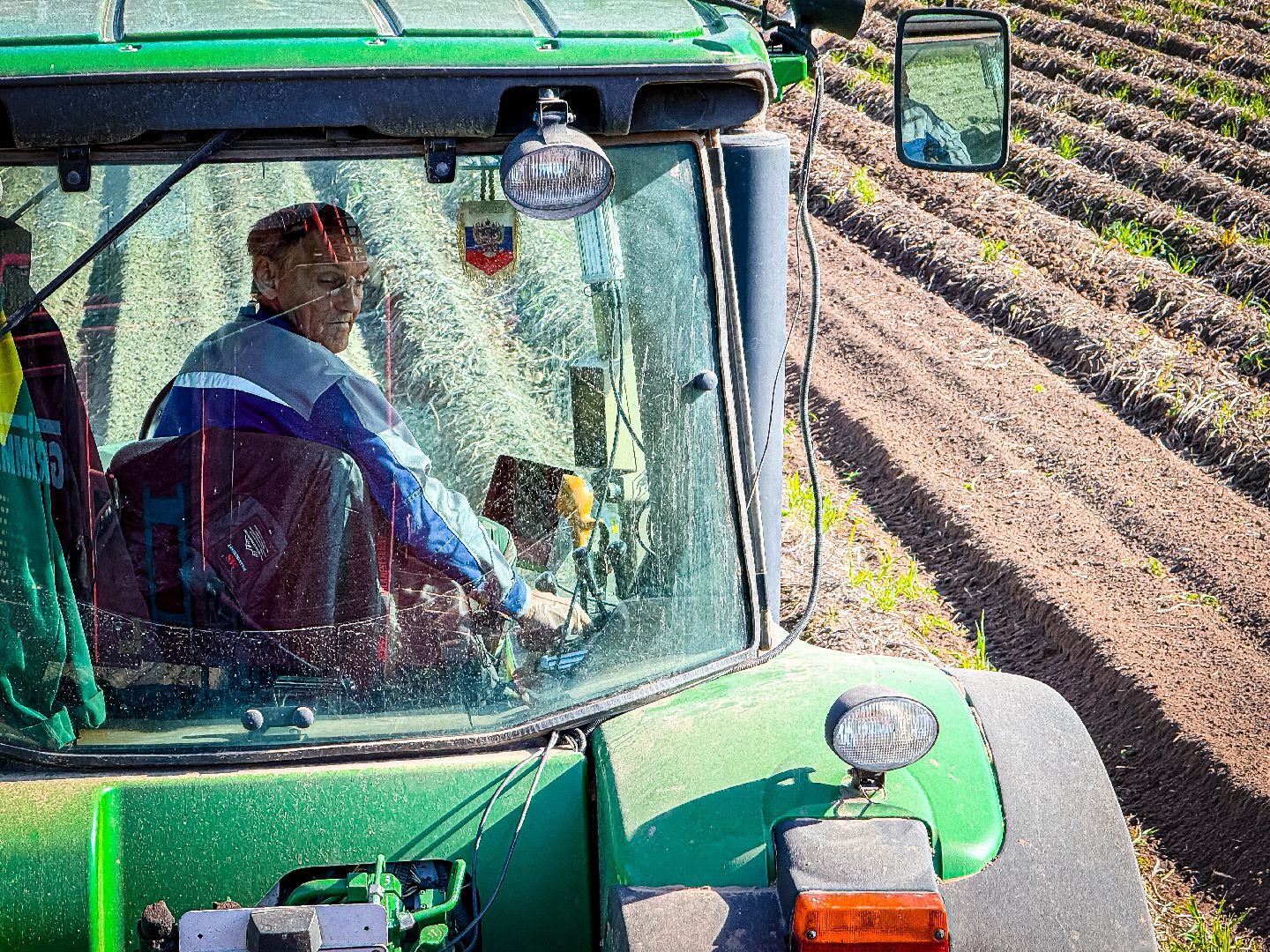 клин, экономика, сбор урожая, картофель, сельское хозяйство,