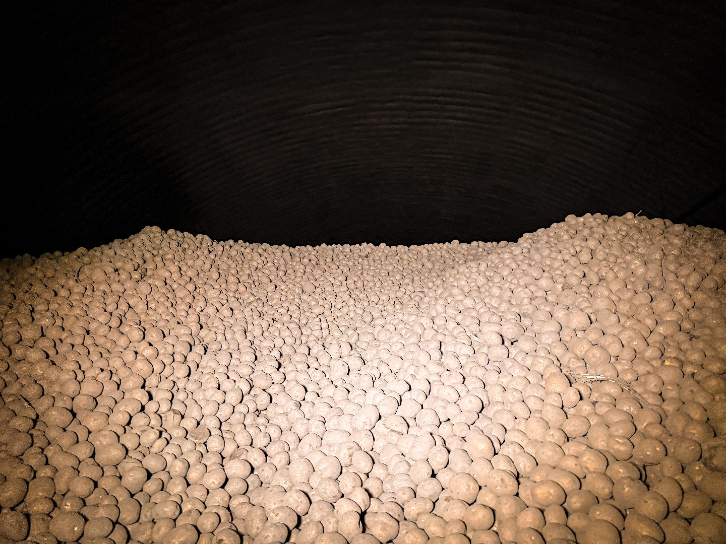 клин, экономика, сбор урожая, картофель, сельское хозяйство,