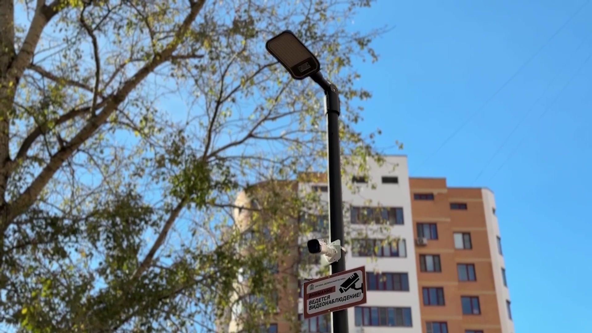 Реутов, благоустройство, сквер, качели, гортензии,