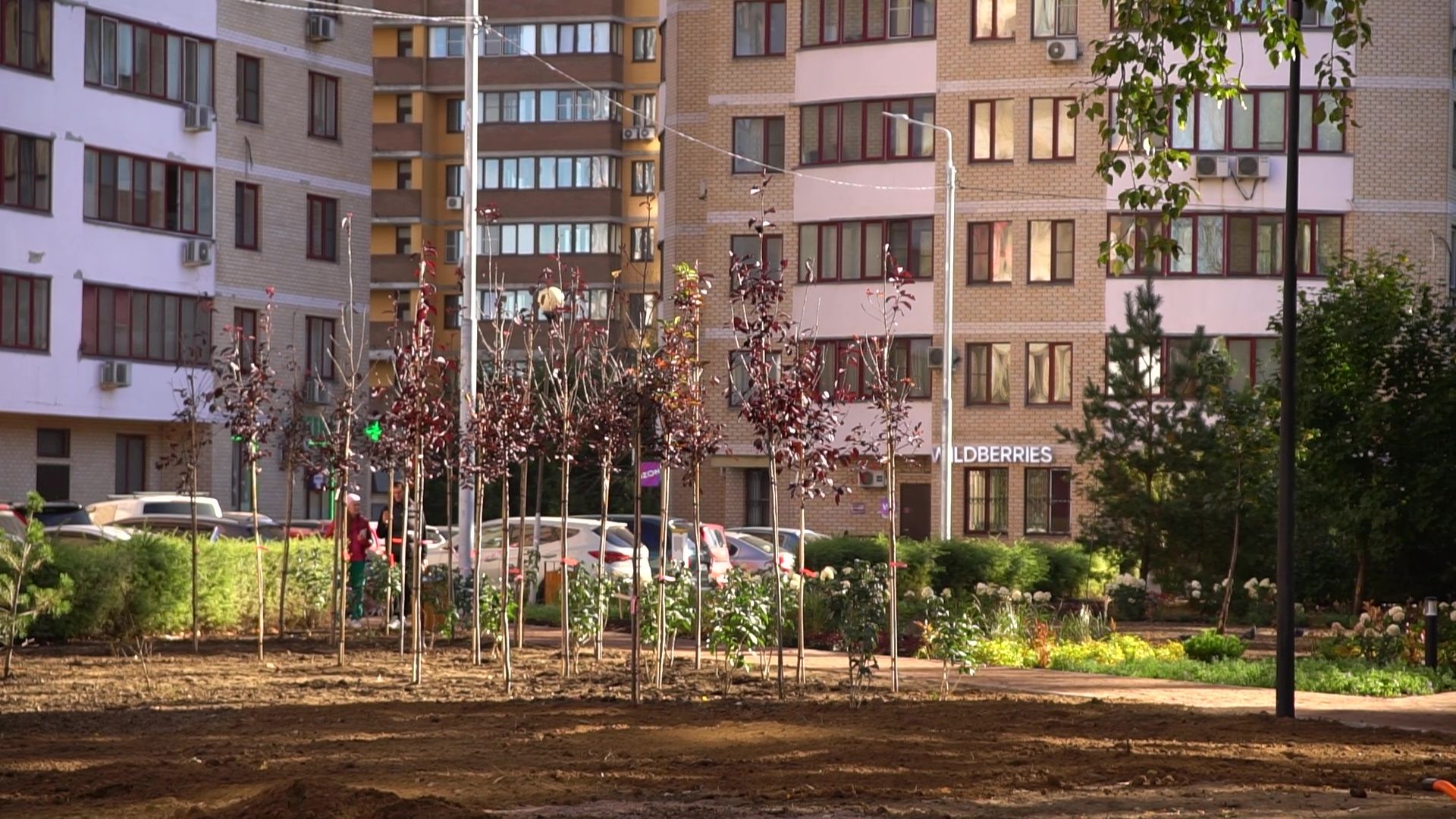 Реутов, благоустройство, сквер, качели, гортензии,