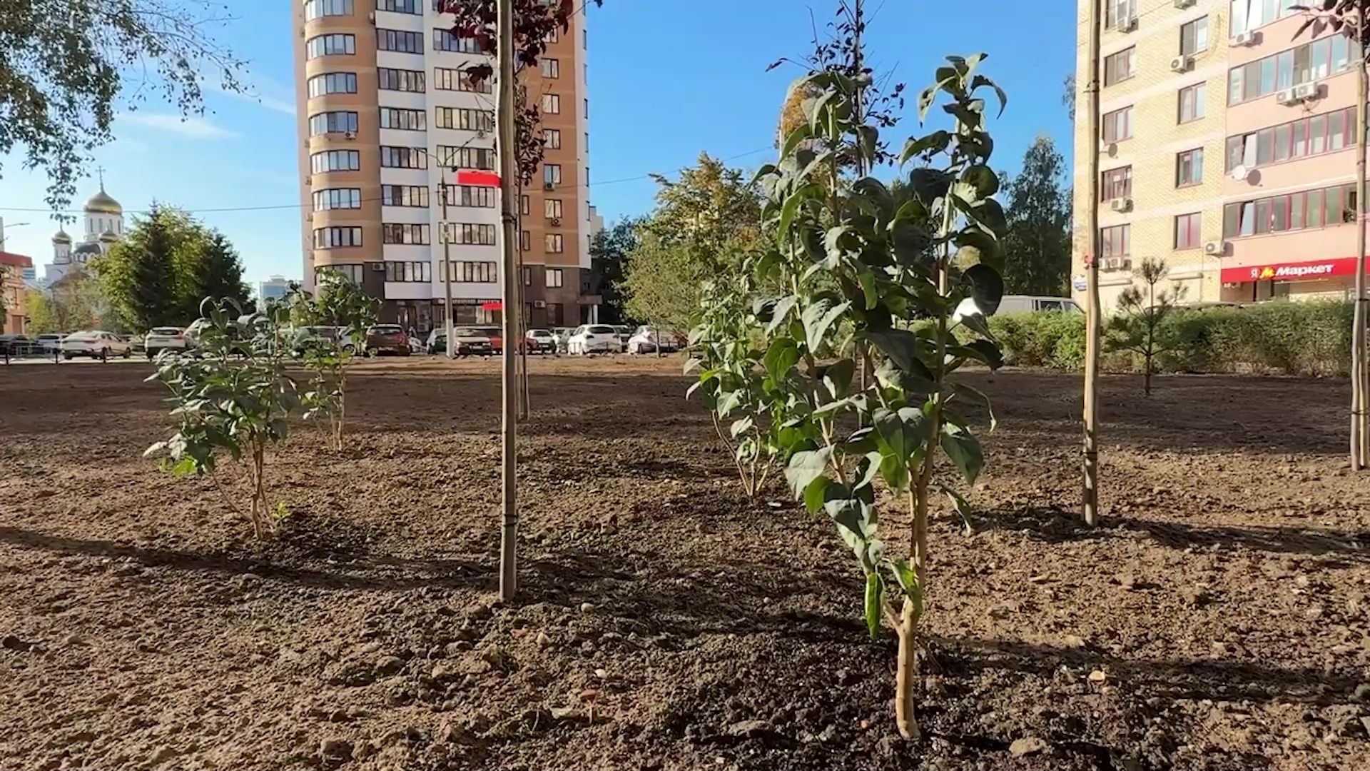 Реутов, благоустройство, сквер, качели, гортензии,