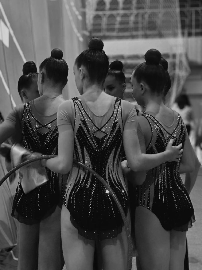 художественная гимнастика, лыткарино, образование, общество, мастер спорта россии,