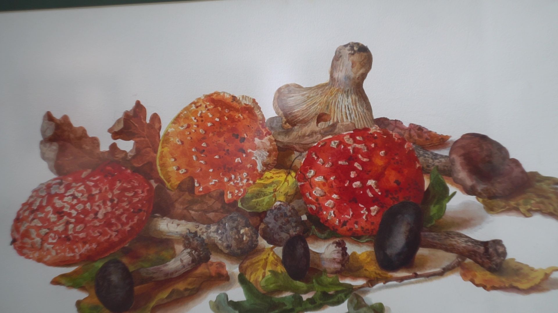 Реутов, культура, выставка,живопись, академия Андрияки,