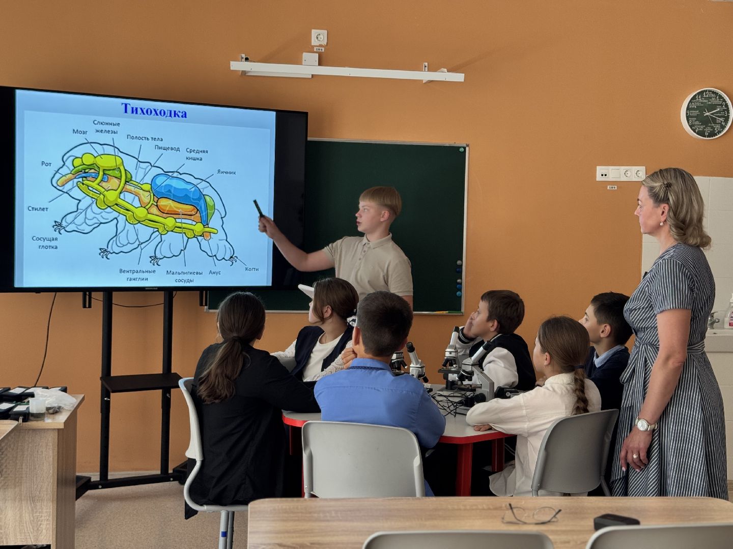 шаховская, день учителя, образование,