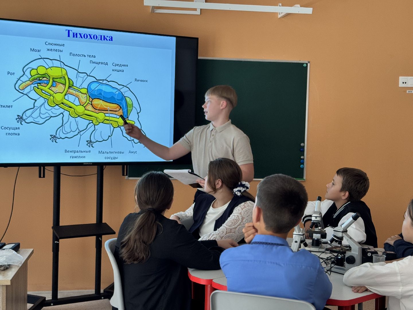 шаховская, день учителя, образование,