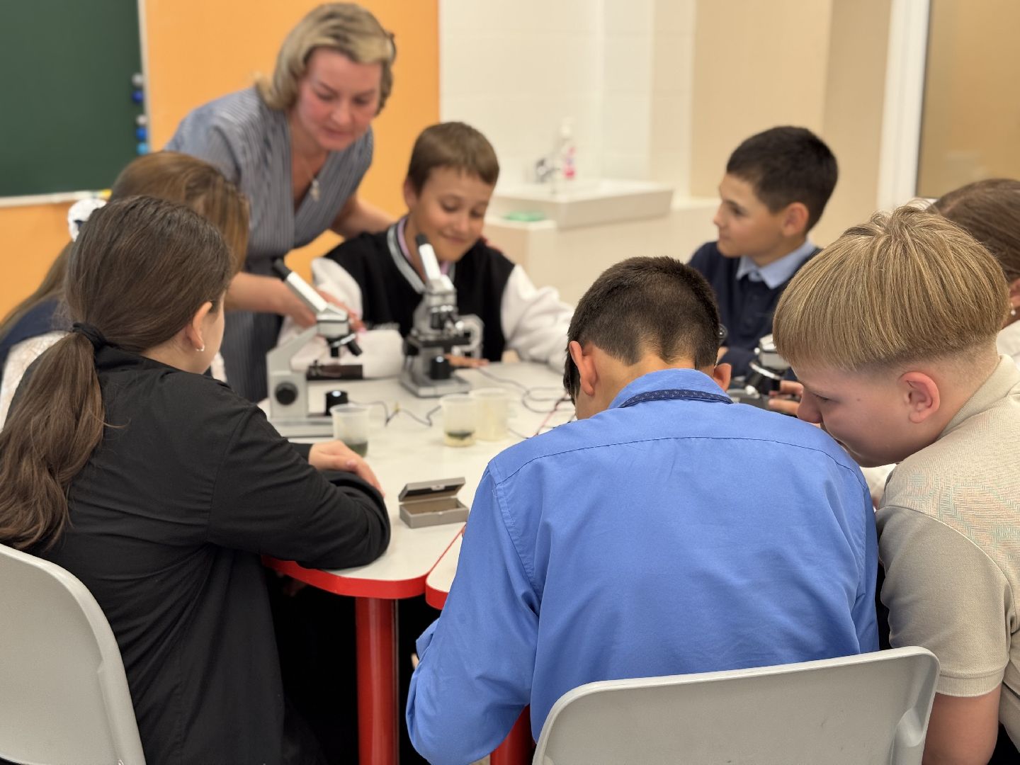 шаховская, день учителя, образование,