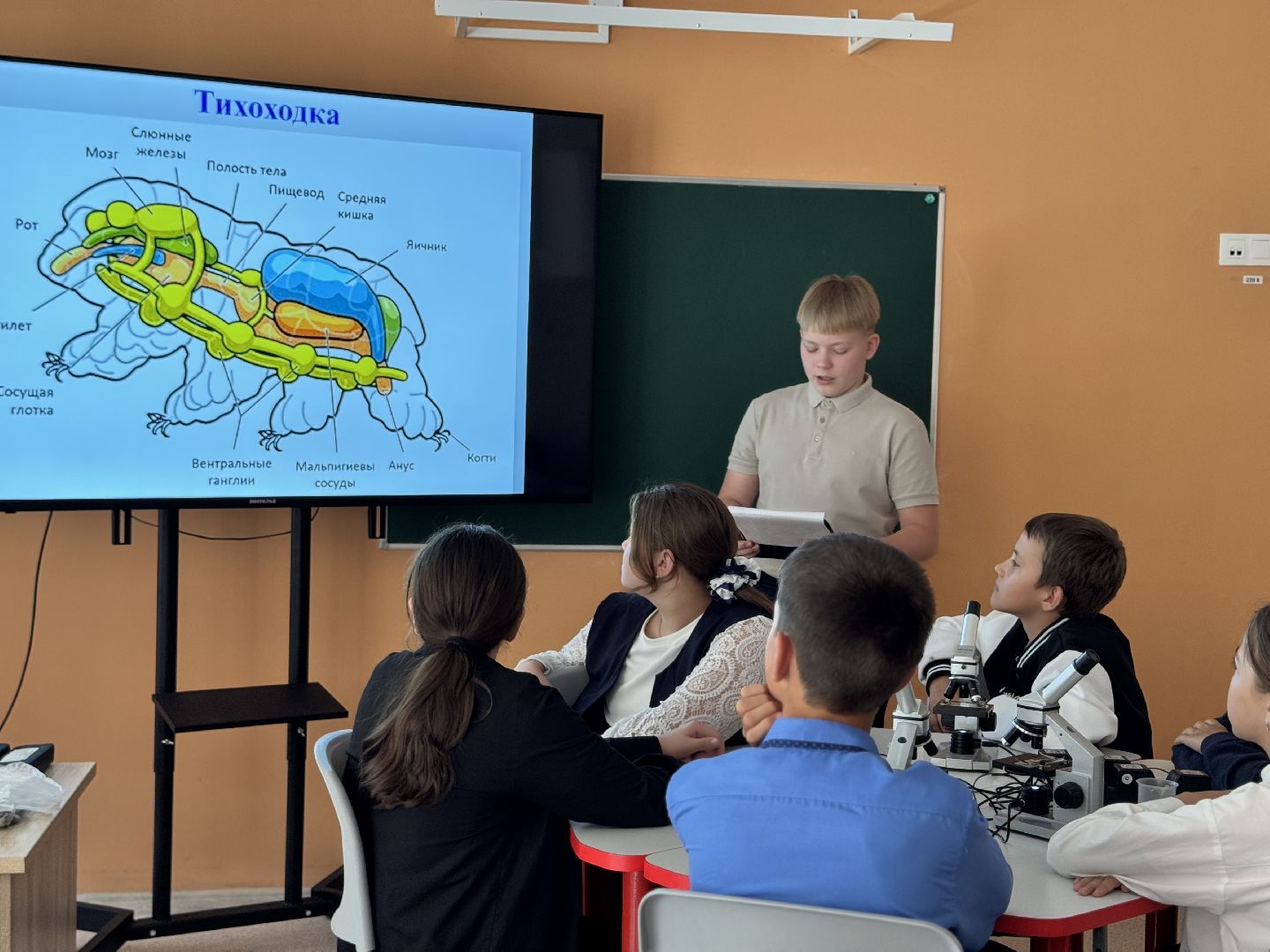 шаховская, день учителя, образование,