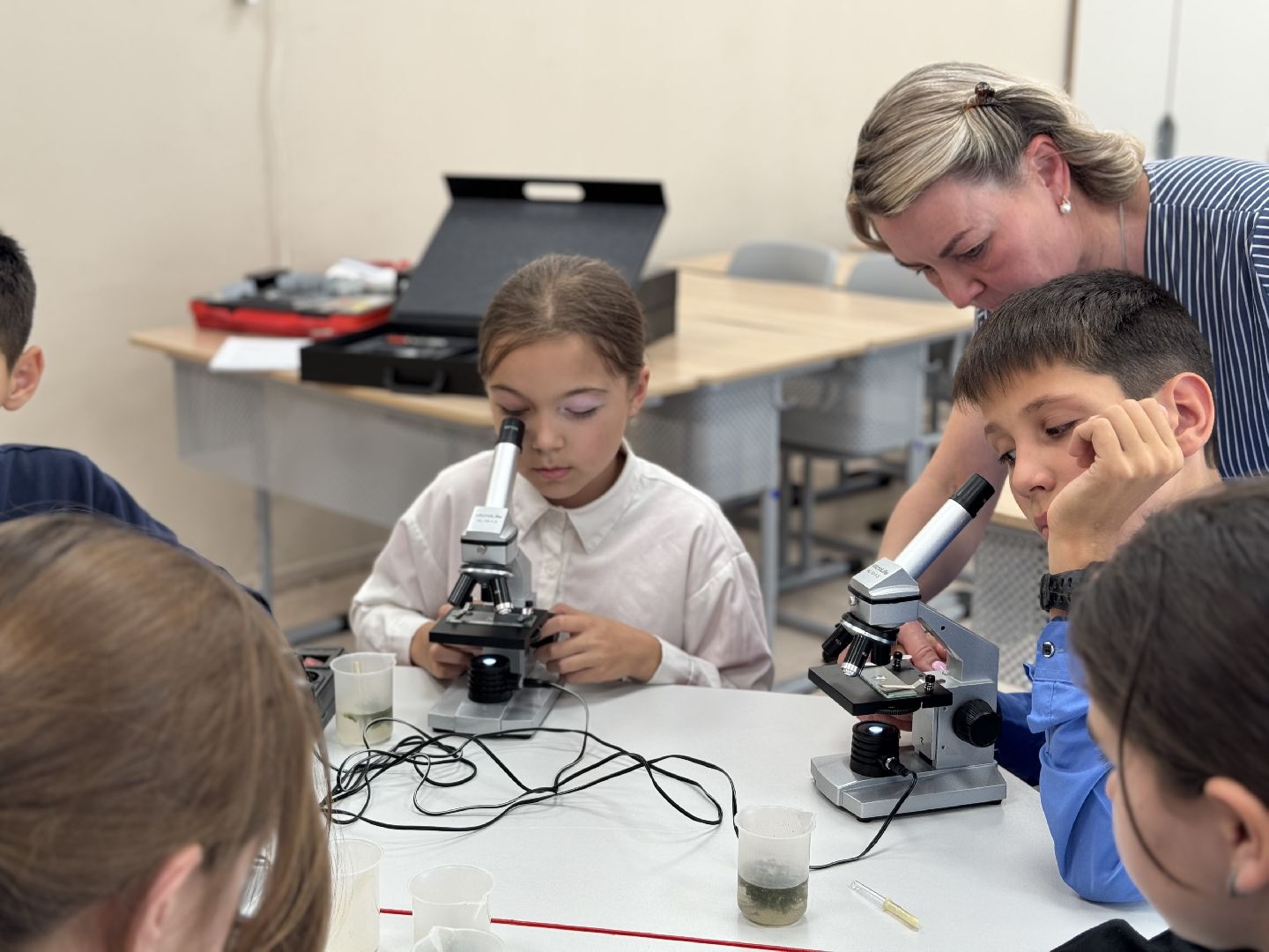 шаховская, день учителя, образование,