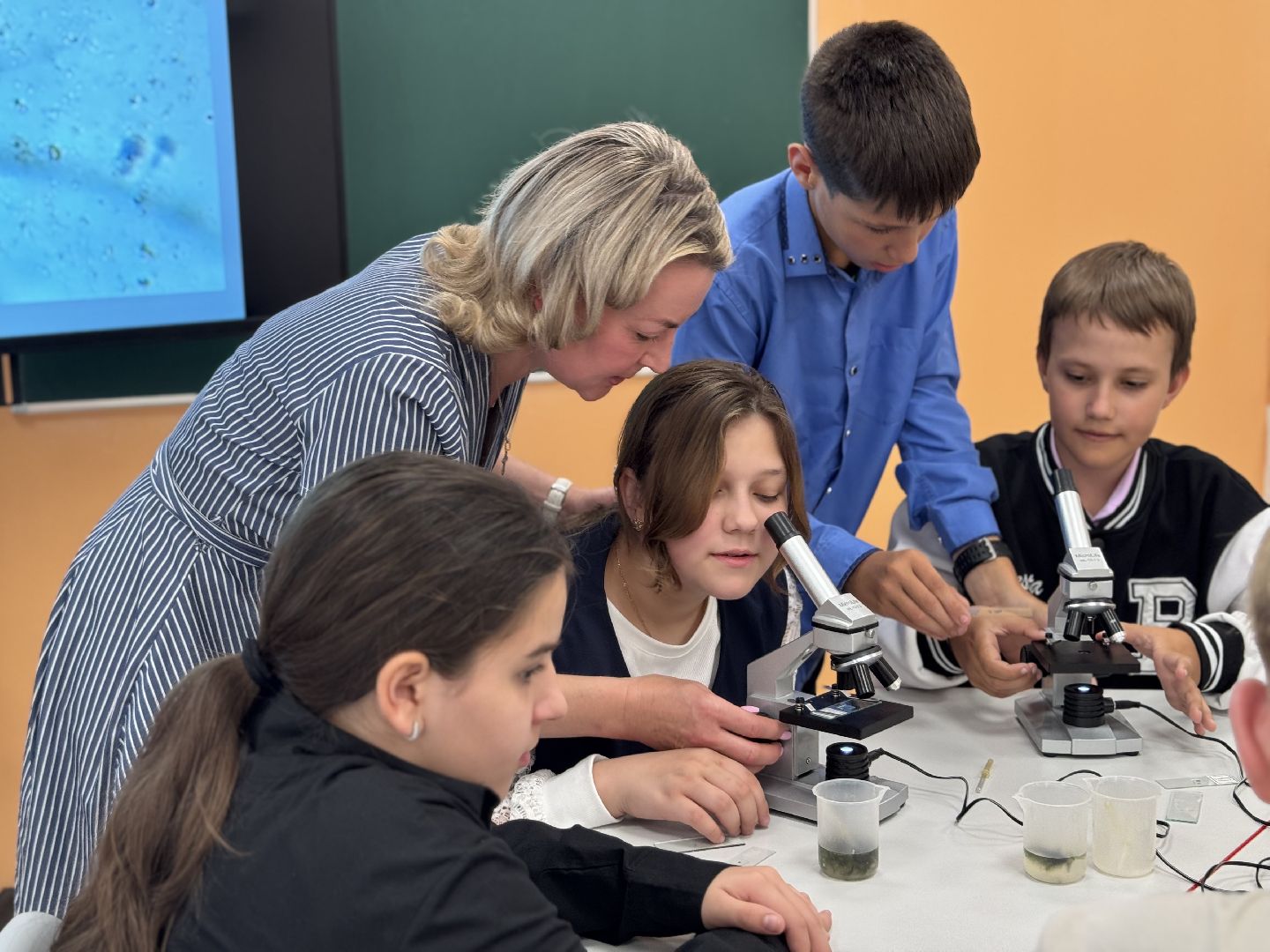 шаховская, день учителя, образование,