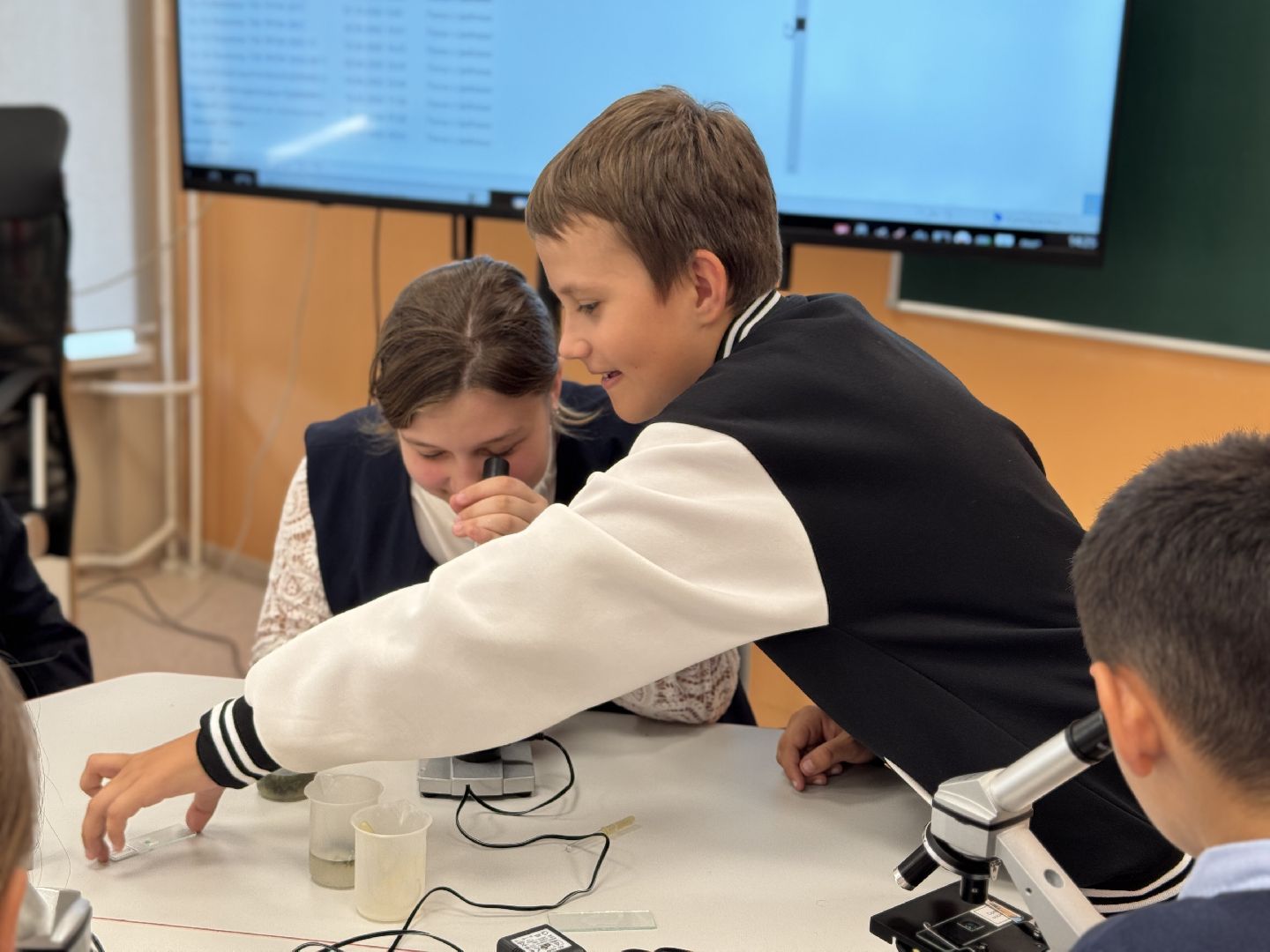 шаховская, день учителя, образование,