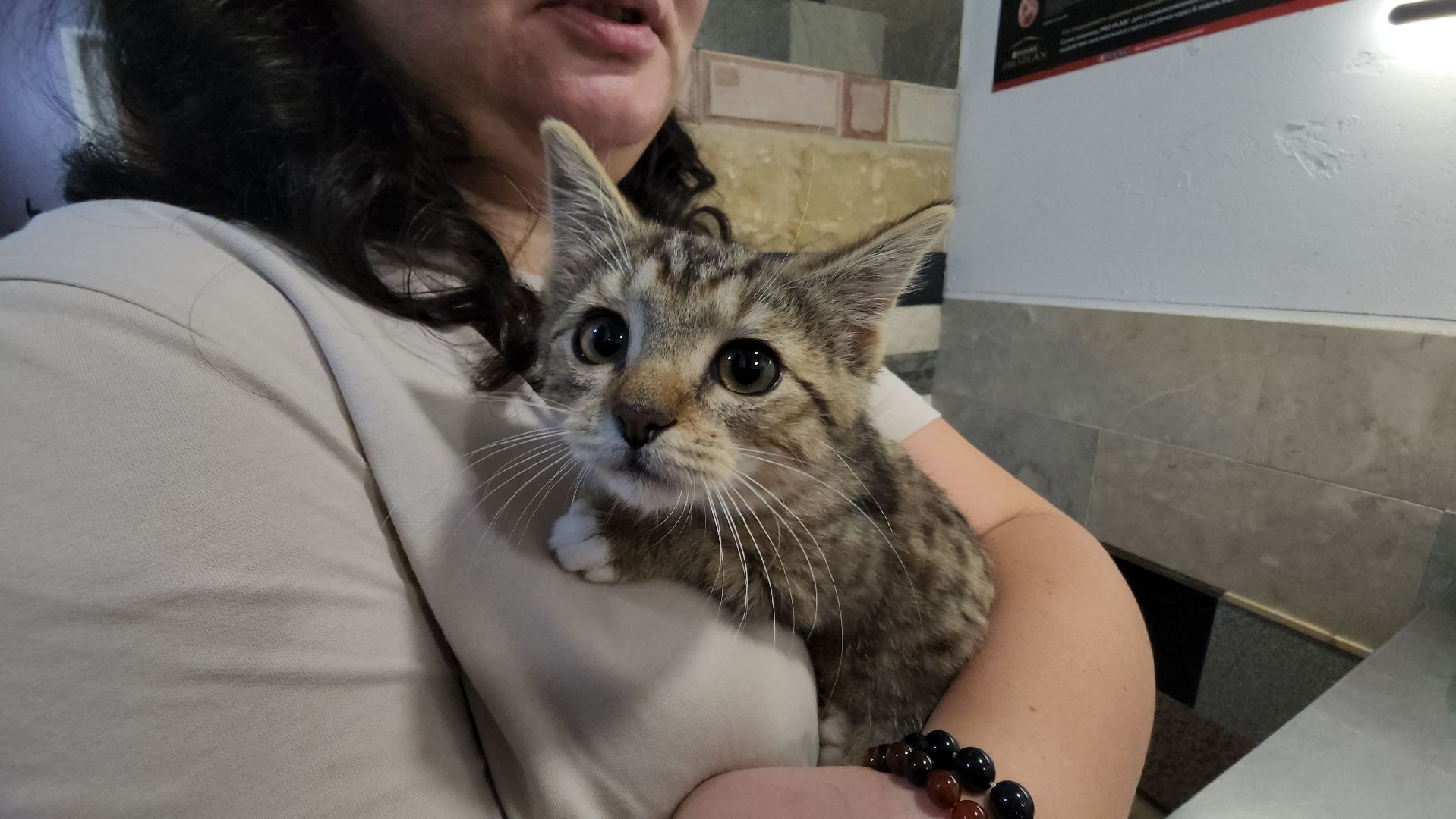 ветклиника, доктор,красногорск,