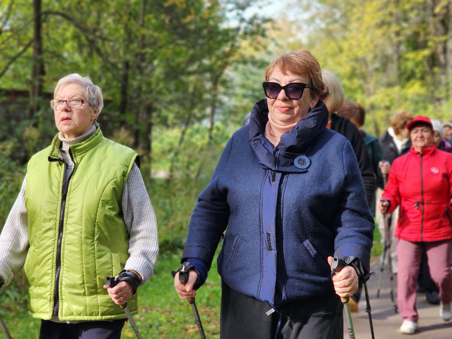 скандинавская ходьба, активное долголетие, спорт, ногинск, богородский городской округ,