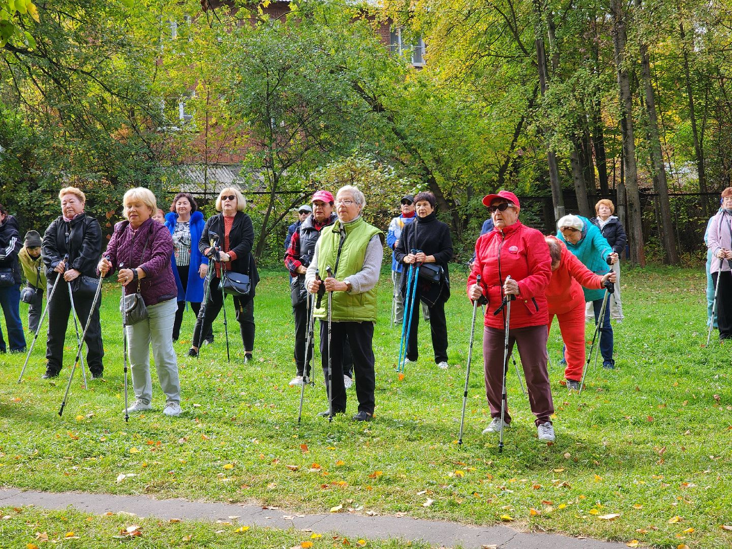 скандинавская ходьба, активное долголетие, спорт, ногинск, богородский городской округ,