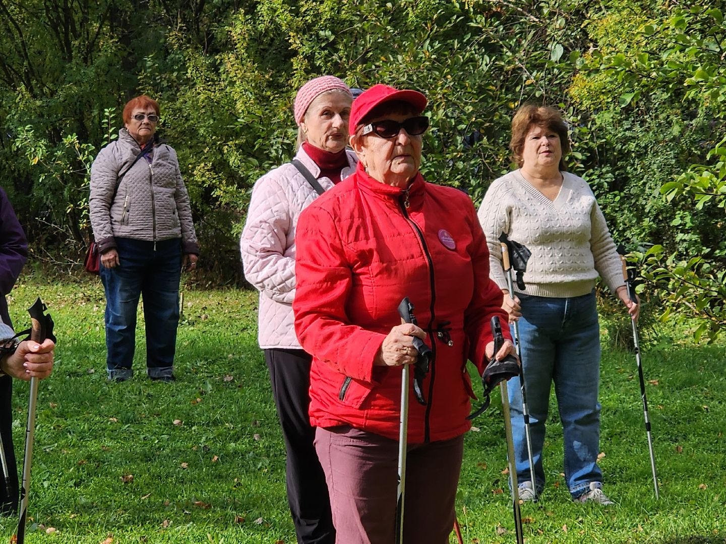 скандинавская ходьба, активное долголетие, спорт, ногинск, богородский городской округ,