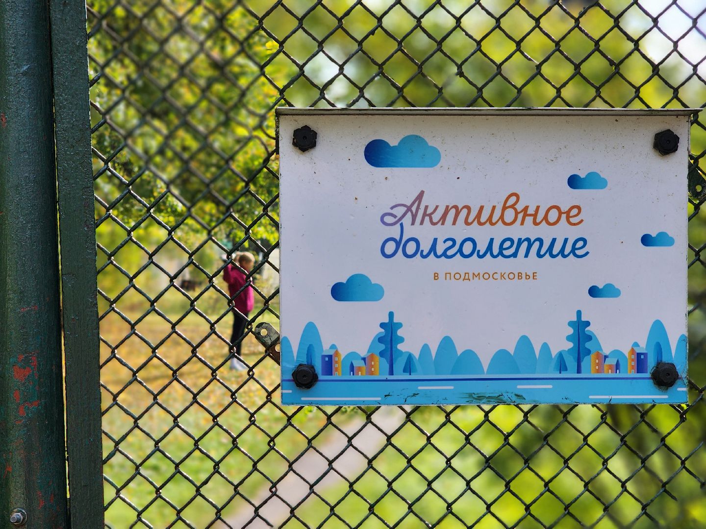 скандинавская ходьба, активное долголетие, спорт, ногинск, богородский городской округ,