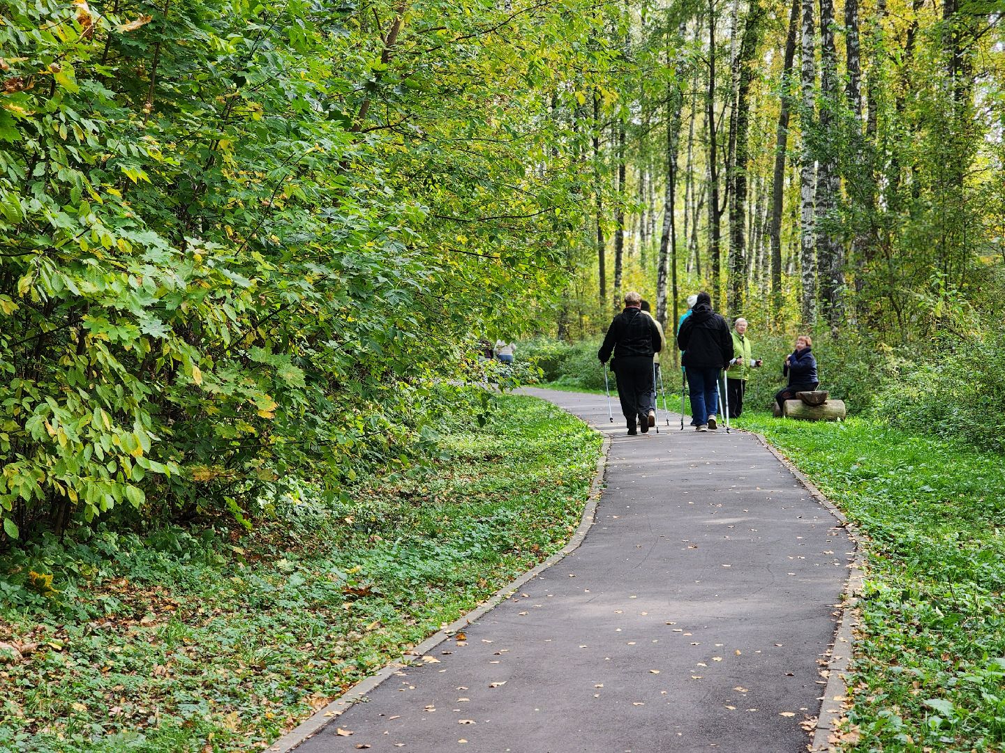скандинавская ходьба, активное долголетие, спорт, ногинск, богородский городской округ,