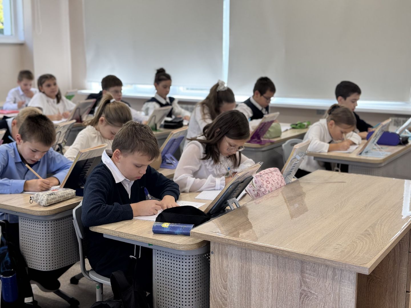 шаховская, день учителя, образование,