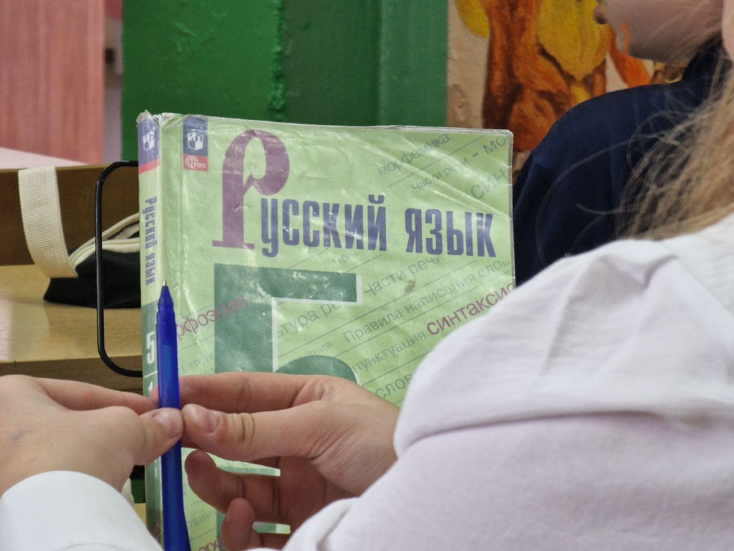 воскресенск , молодой учитель,