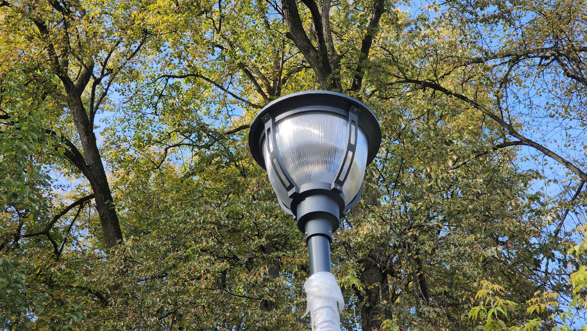 благоустройство, городской парк,ротонда,тротуарная плитка,