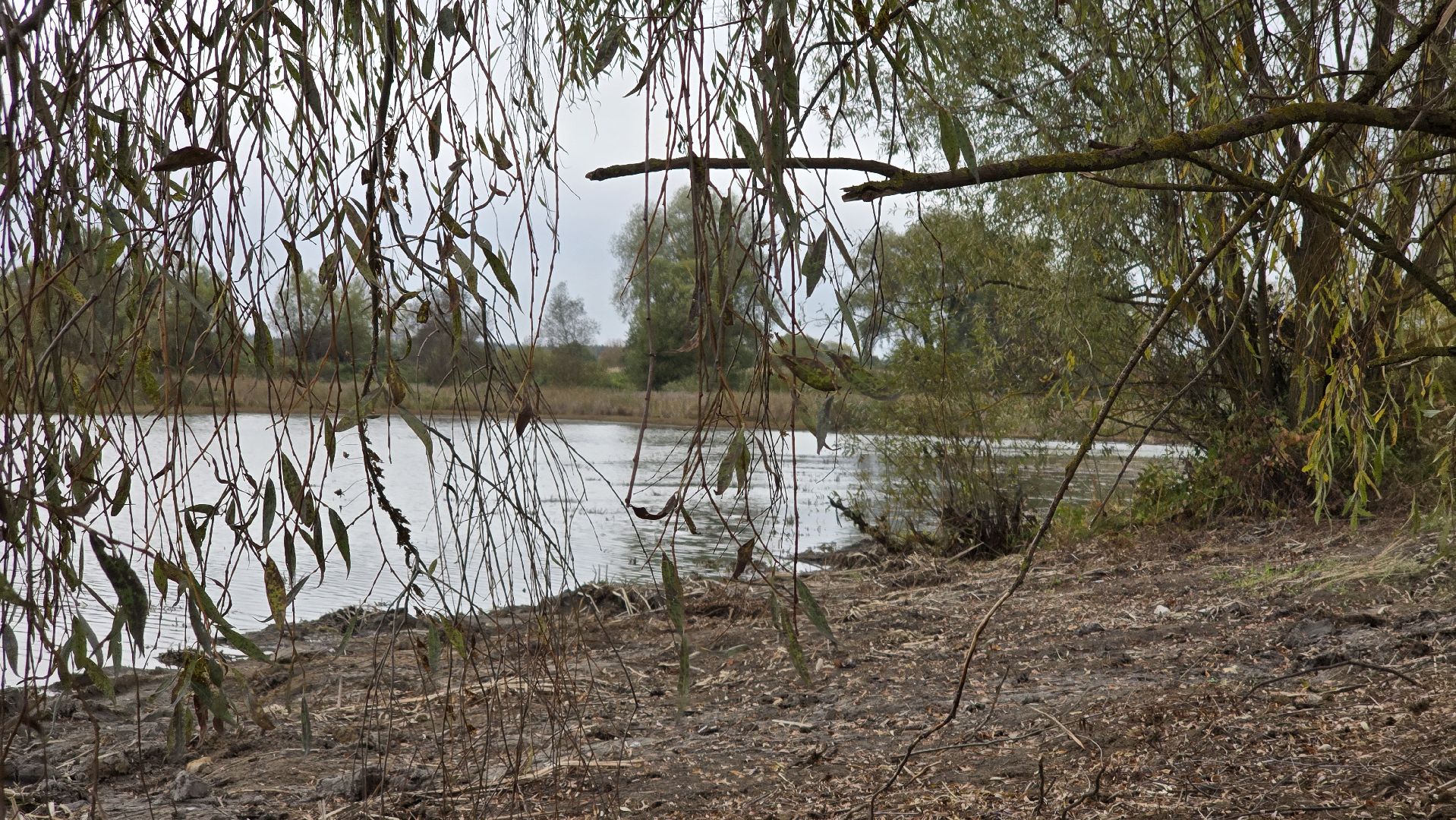 Коломна, очистка водоемов, 100 прудов и озер,
