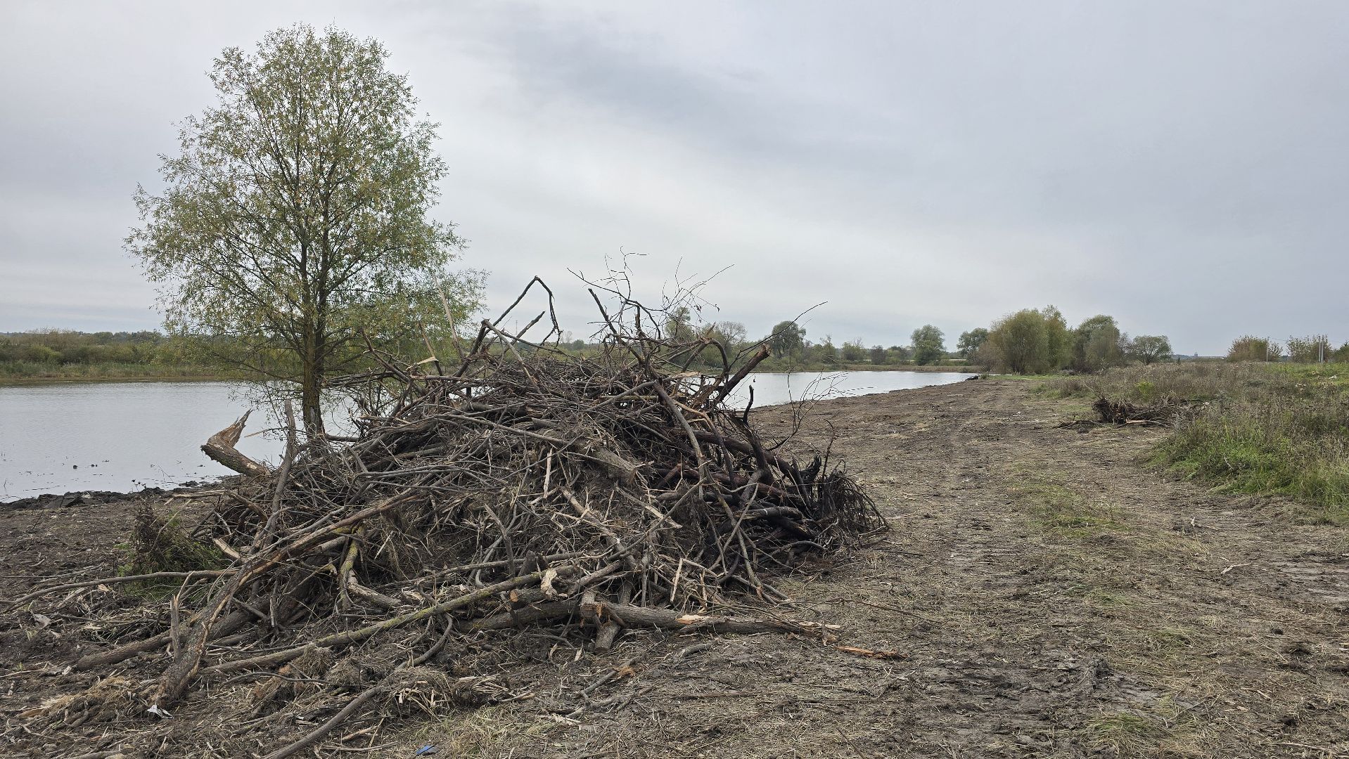 Коломна, очистка водоемов, 100 прудов и озер,