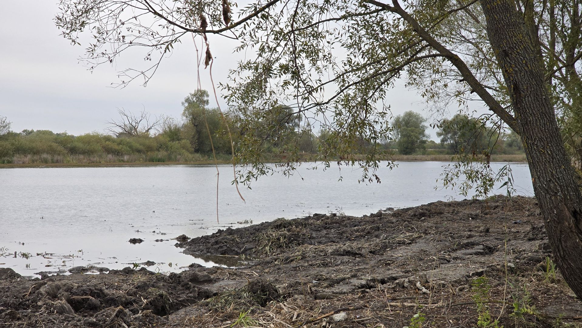 Коломна, очистка водоемов, 100 прудов и озер,