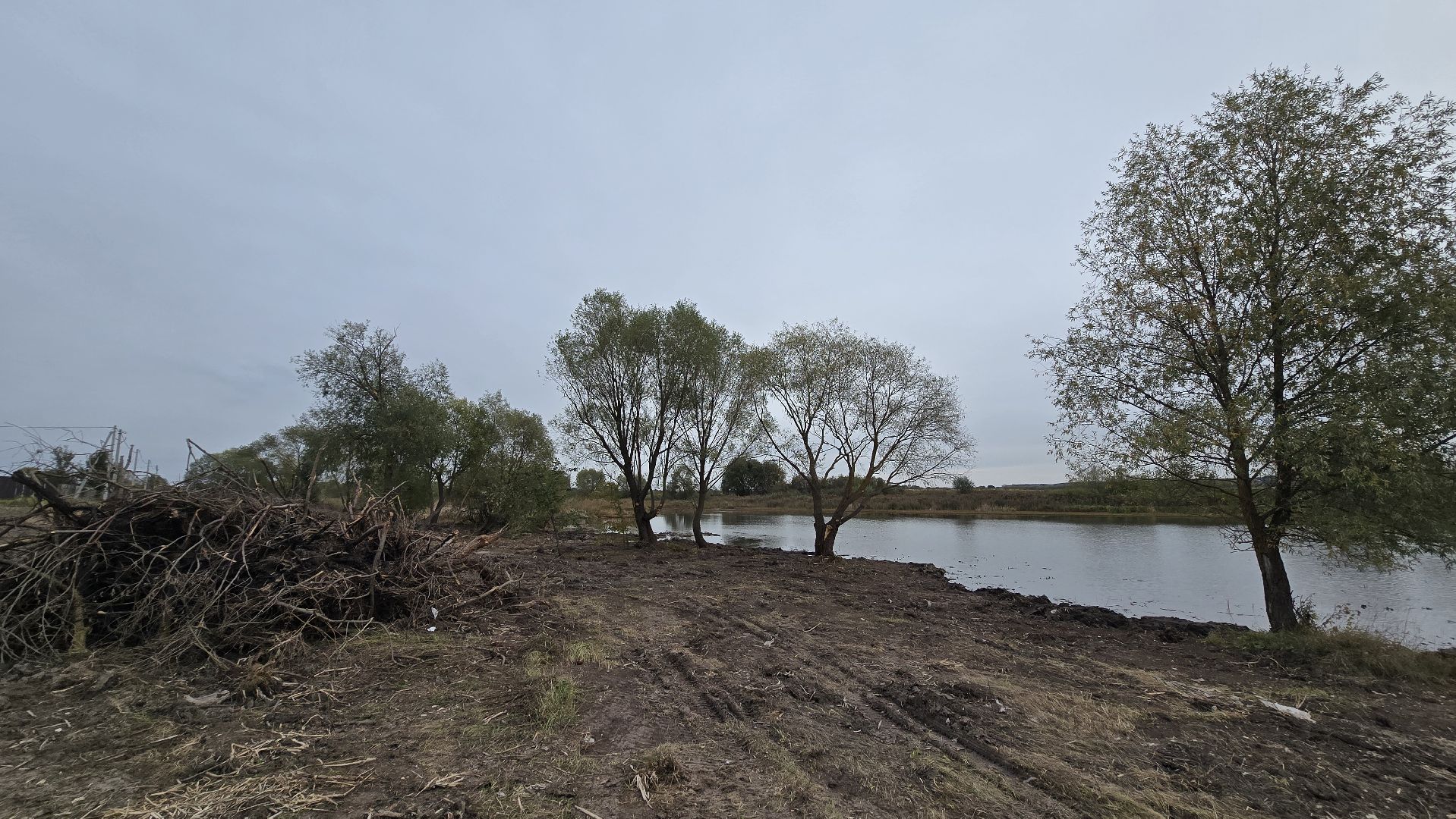 Коломна, очистка водоемов, 100 прудов и озер,