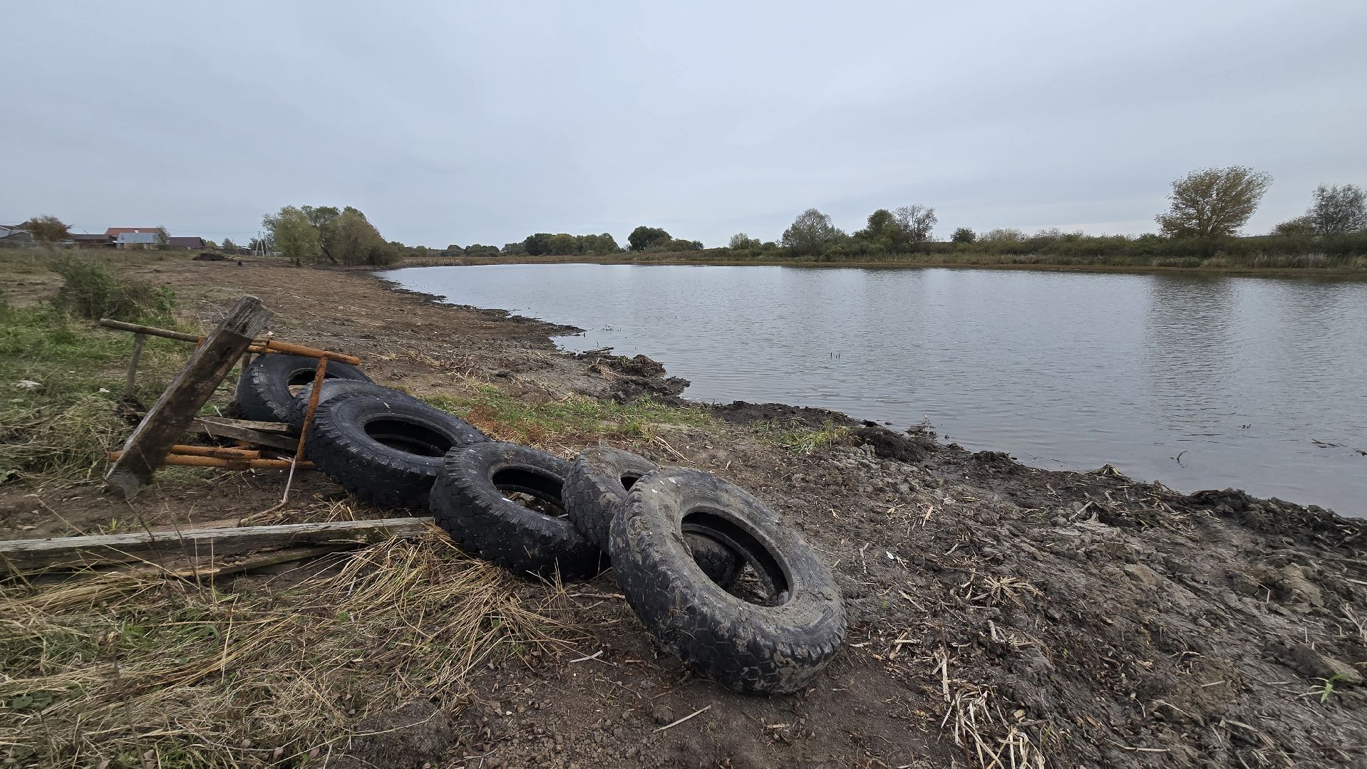 Коломна, очистка водоемов, 100 прудов и озер,