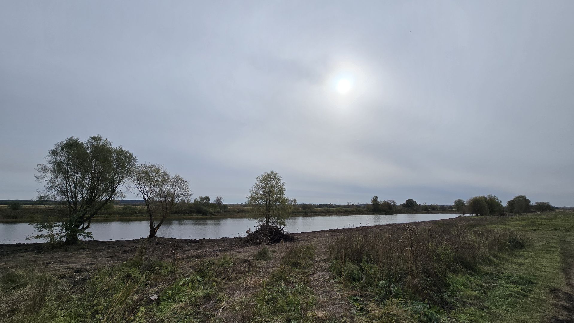 Коломна, очистка водоемов, 100 прудов и озер,
