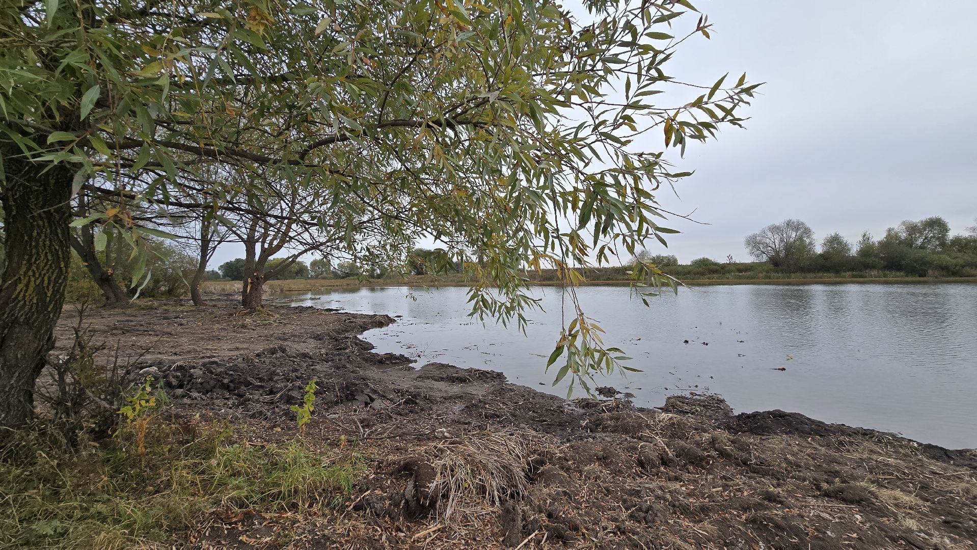Коломна, очистка водоемов, 100 прудов и озер,
