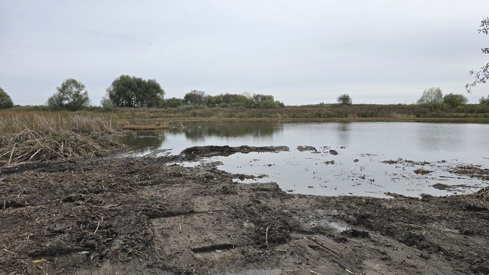 Коломна, очистка водоемов, 100 прудов и озер,