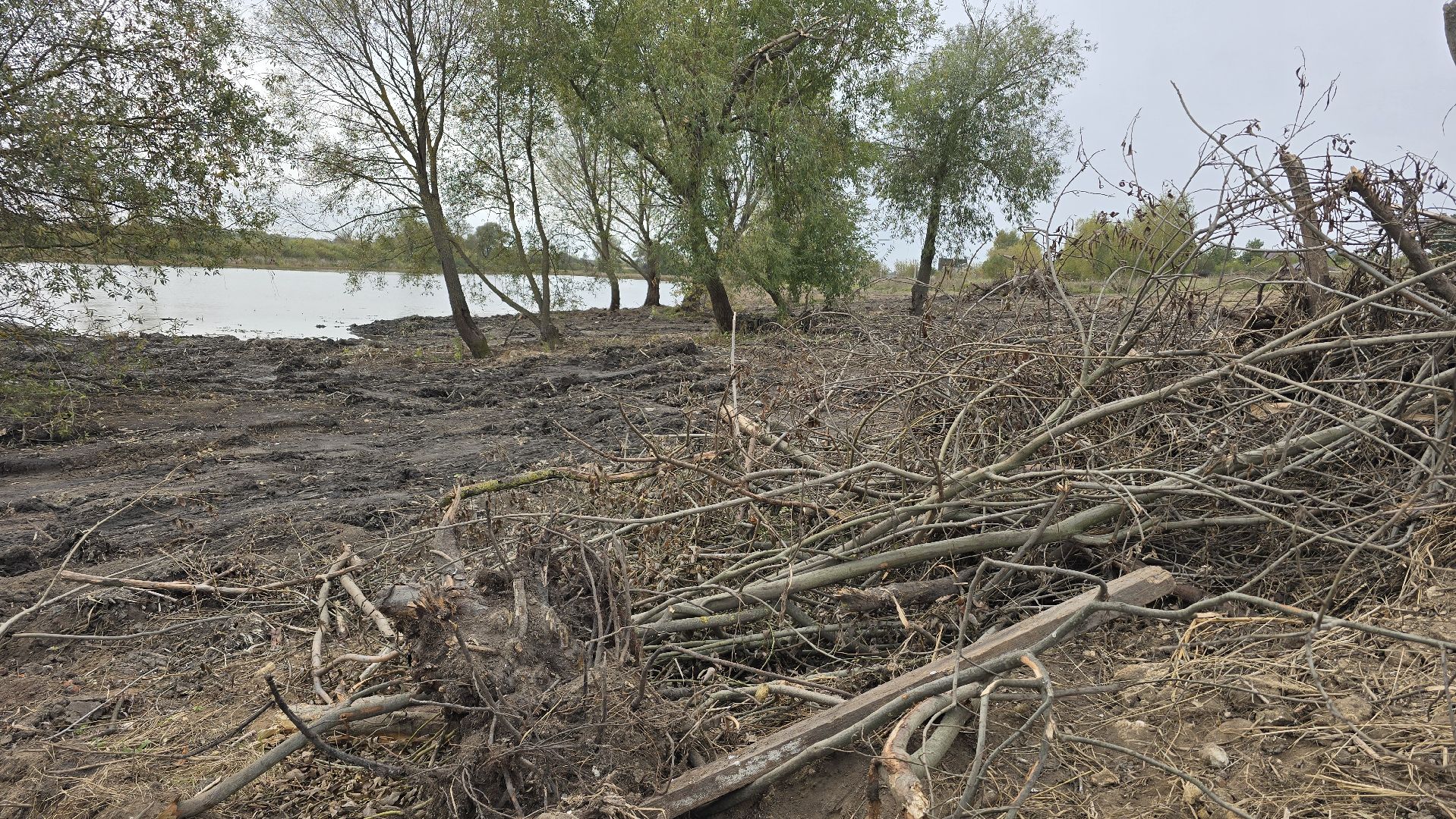 Коломна, очистка водоемов, 100 прудов и озер,