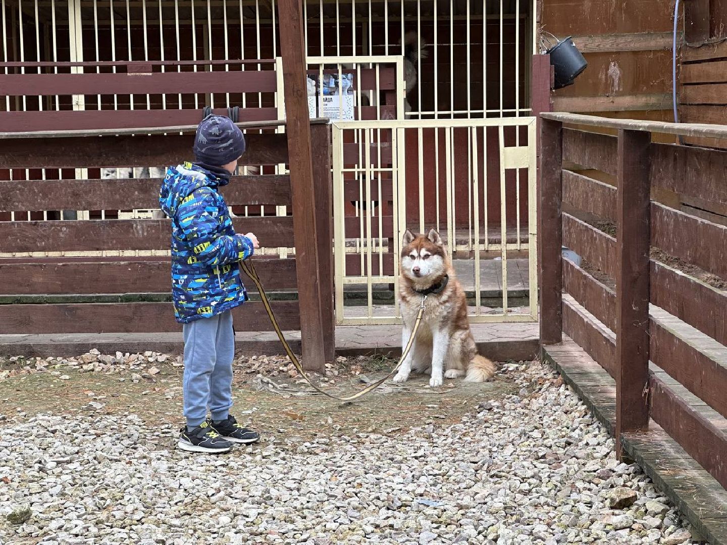 домодедово, эко ферма, парки,