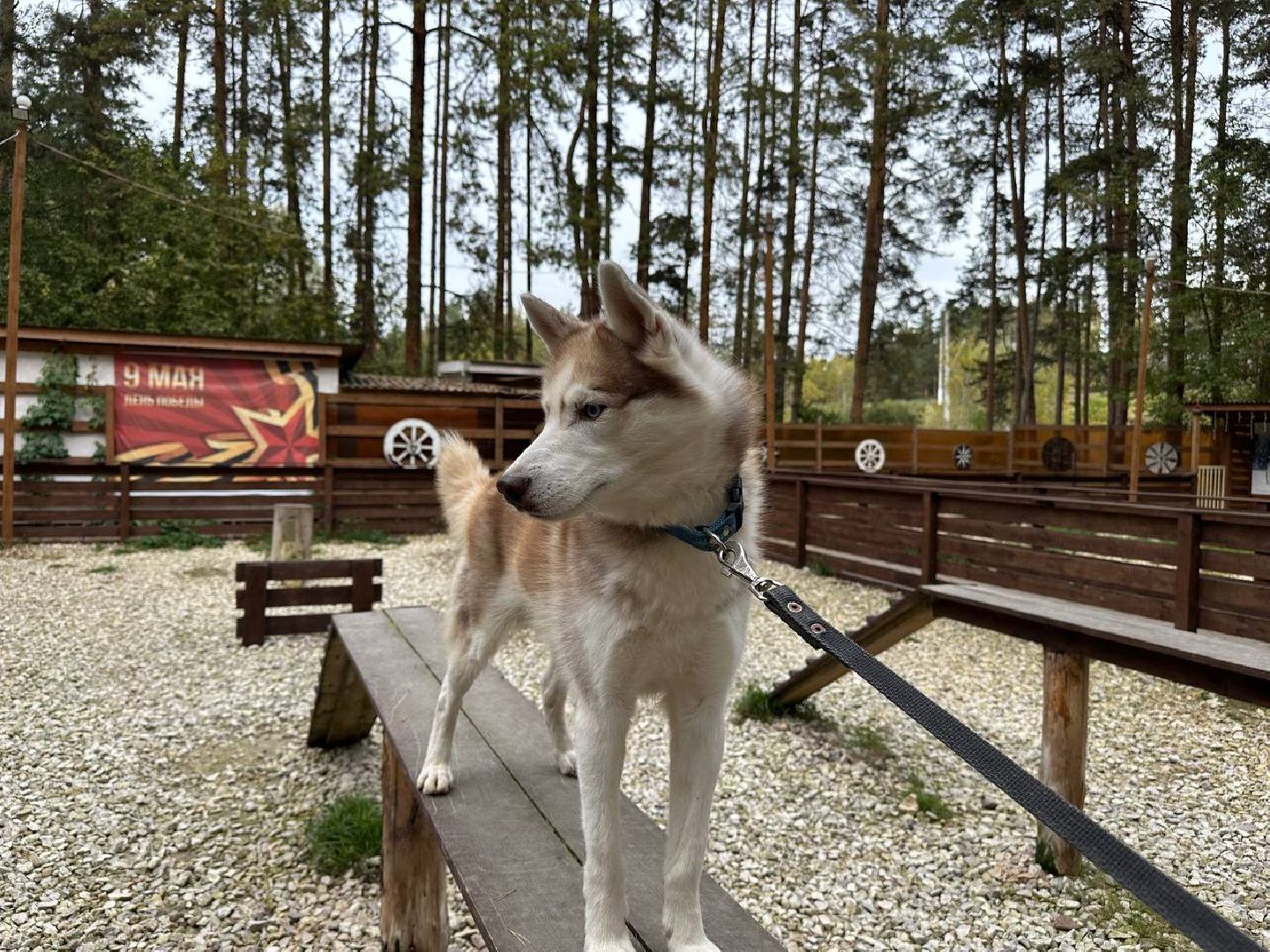 домодедово, эко ферма, парки,