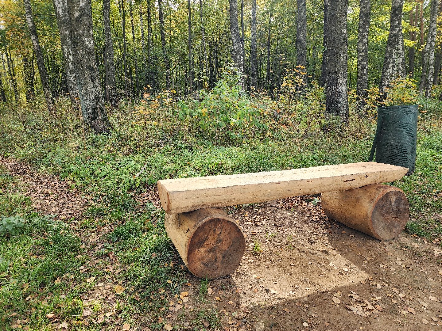 топ-5, озеленение, рейтинг самых зеленых городов, ногинск, богородский городский округ,