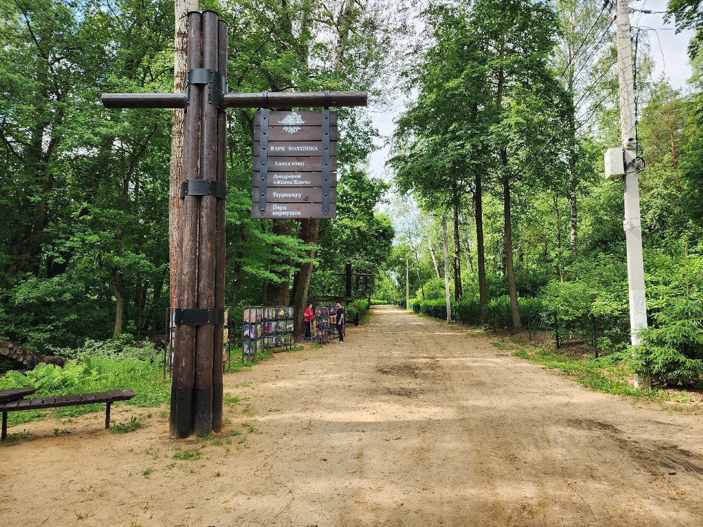 топ-5, озеленение, рейтинг самых зеленых городов, ногинск, богородский городский округ,