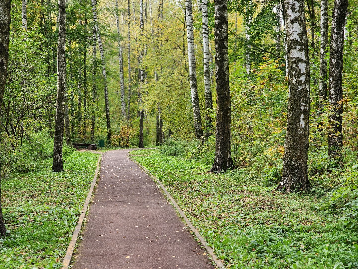 топ-5, озеленение, рейтинг самых зеленых городов, ногинск, богородский городский округ,