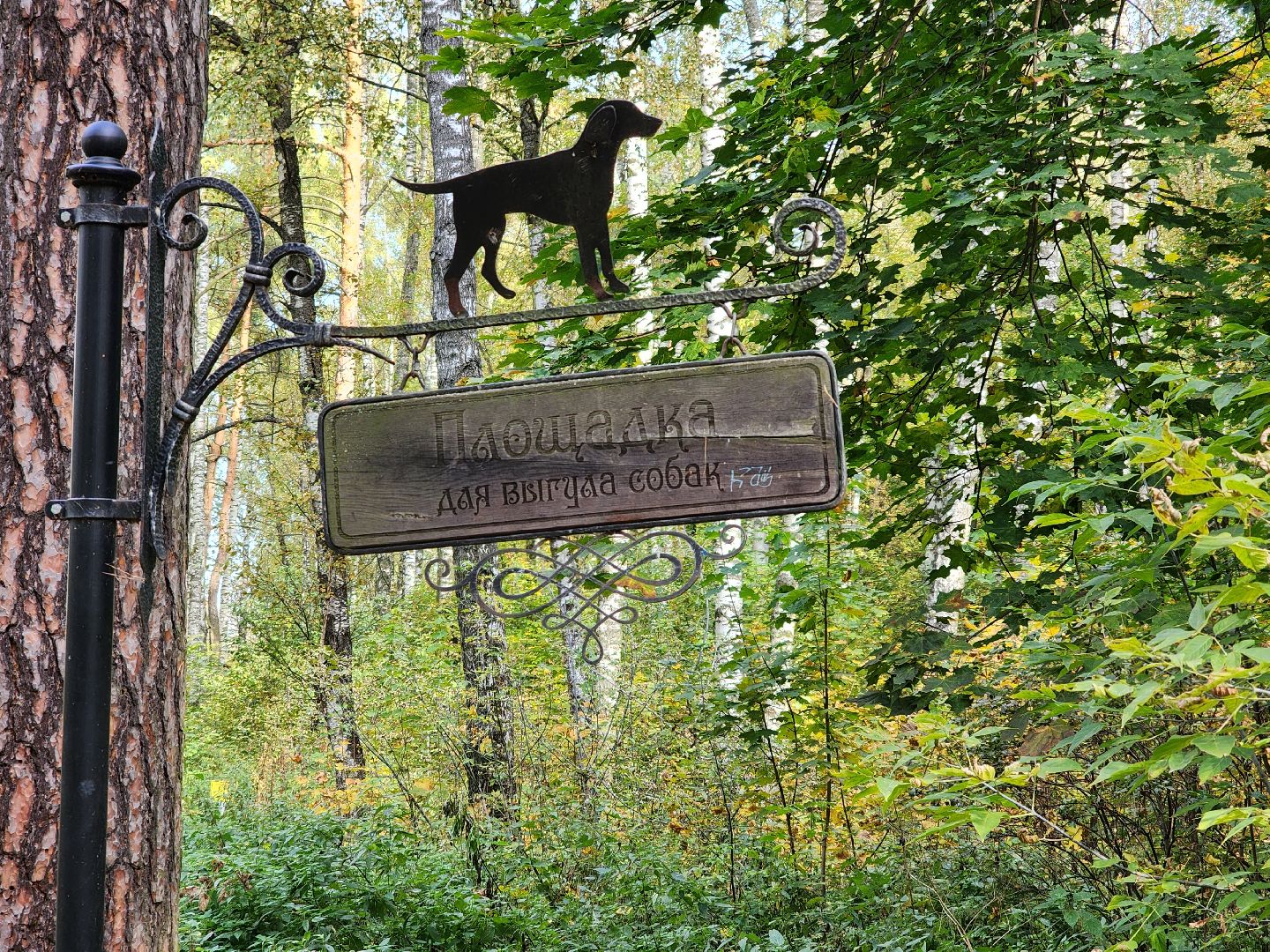 топ-5, озеленение, рейтинг самых зеленых городов, ногинск, богородский городский округ,