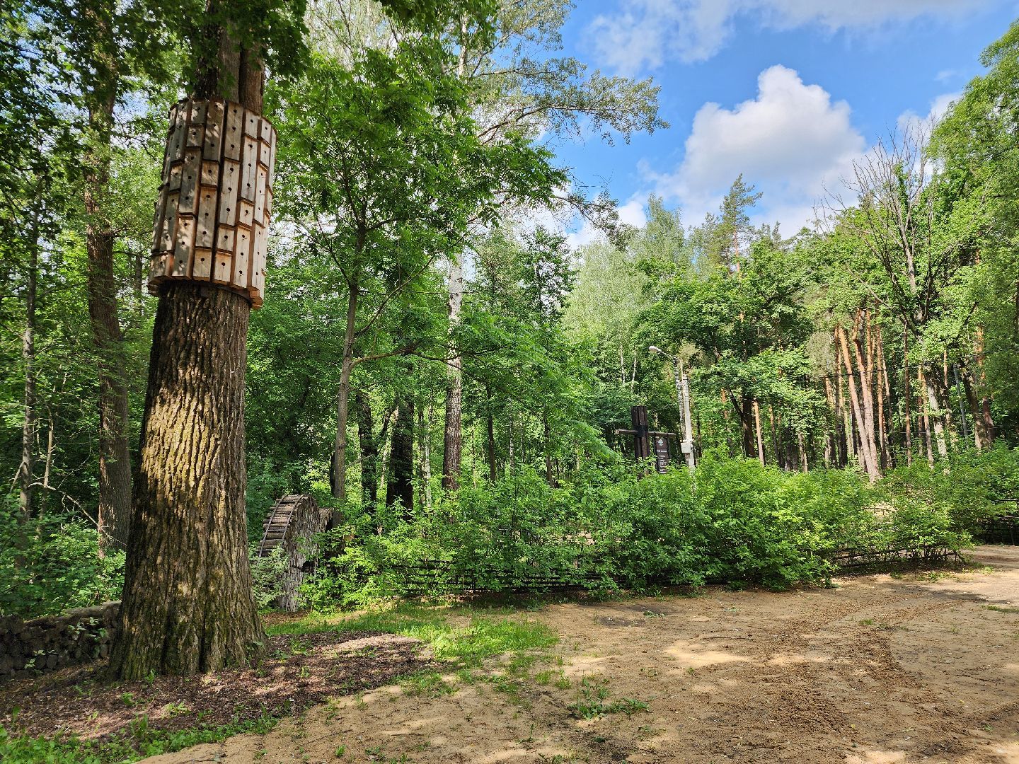 топ-5, озеленение, рейтинг самых зеленых городов, ногинск, богородский городский округ,