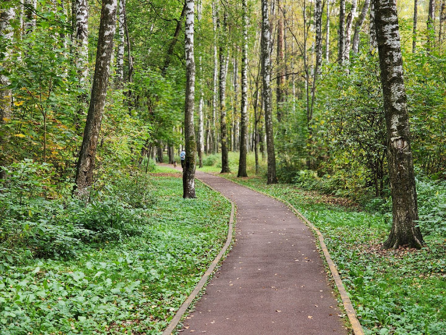 топ-5, озеленение, рейтинг самых зеленых городов, ногинск, богородский городский округ,