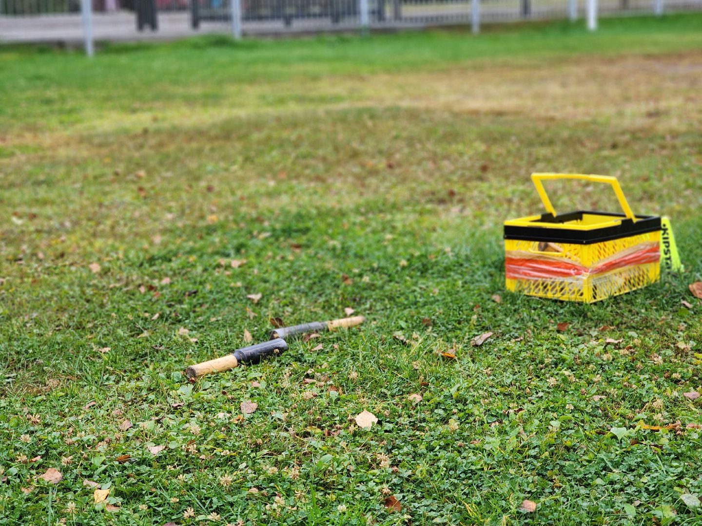 нормативы ГТО, спорт,  готов к труду и обороне, старая купавна, богородский городской округ,