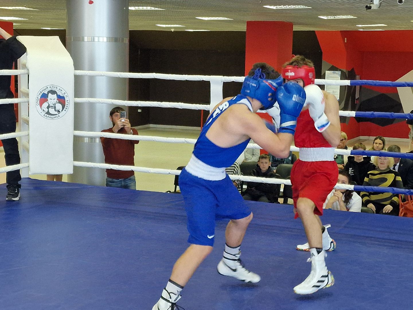 соревнования по боксу посвященные ветеранам боевых действий прошли в балашихе, балашиха,  александр головашкин,