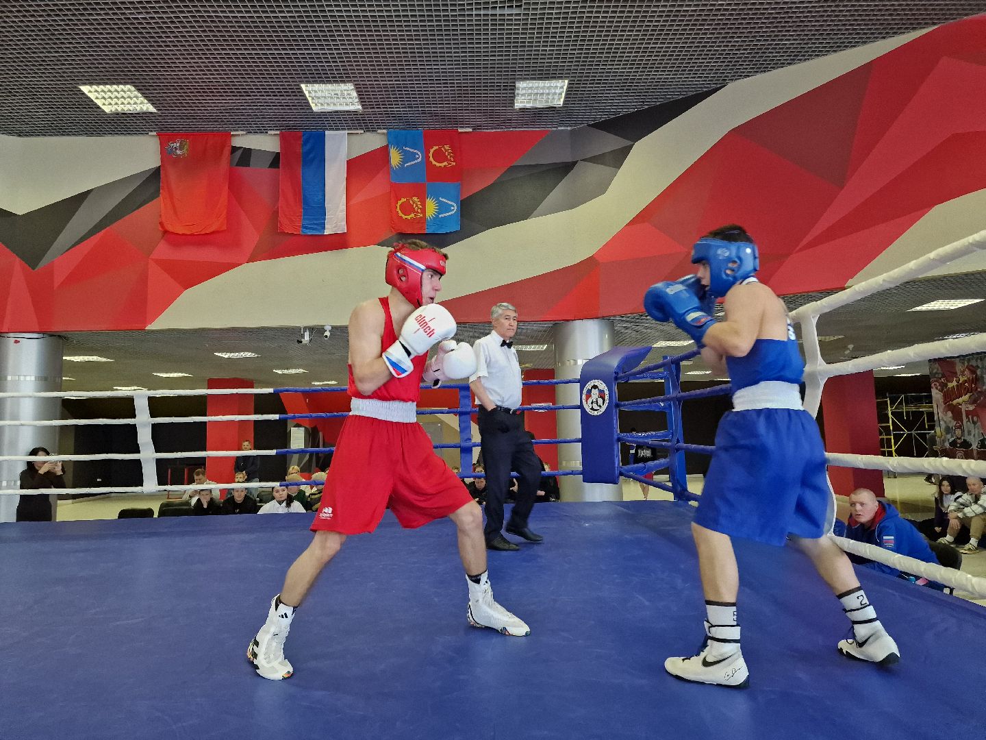 соревнования по боксу посвященные ветеранам боевых действий прошли в балашихе, балашиха,  александр головашкин,