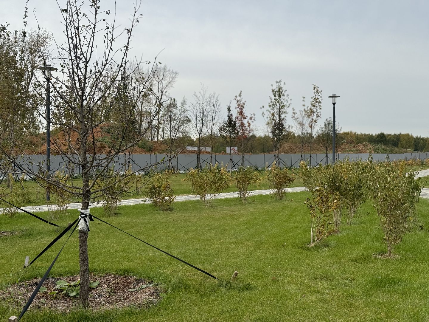 игровой комплекс , ленинский городской округ, жк первый южный,