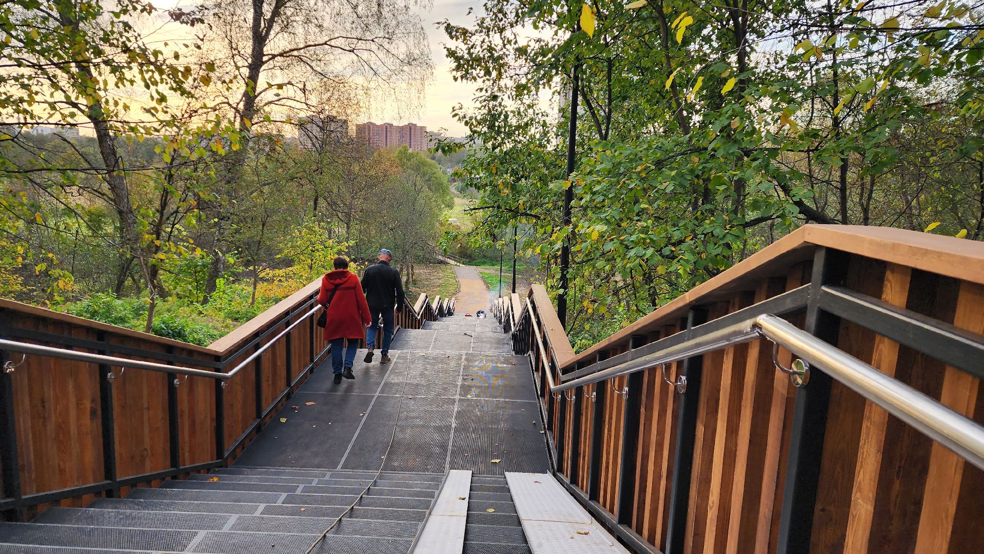истра, благоустройство, лесопарк,
